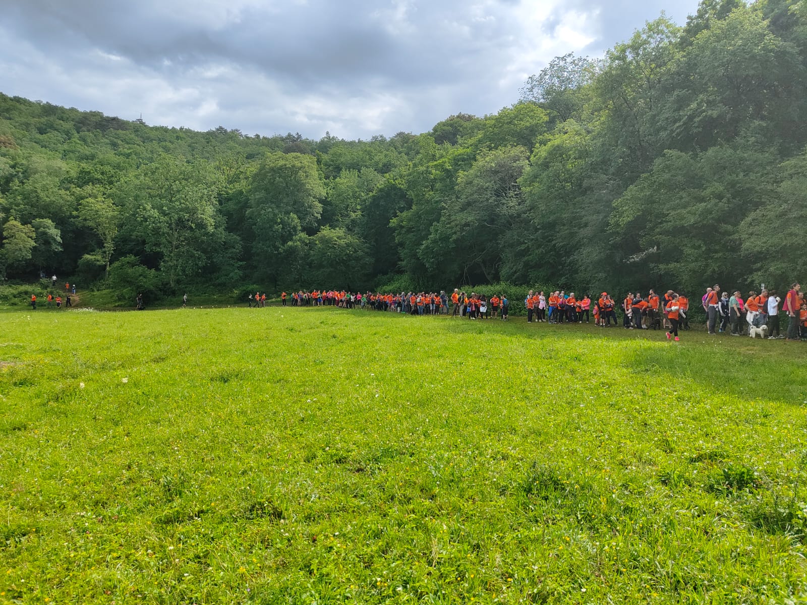 Persone che camminano durante la marcia 2024