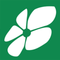 Logo Kohisce verde